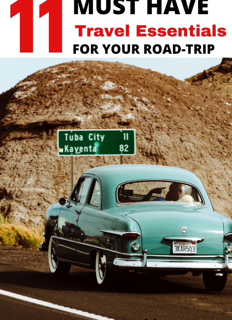 11 road trip essentials you didn’t know you need